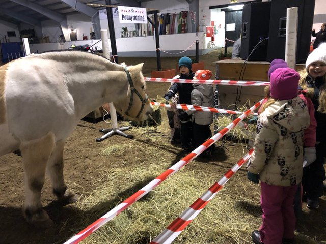 Barnen fick träffa hästen Molke inne på Julmarknaden - Jul på Smedjebron